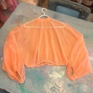 Sheer 70s Blouse